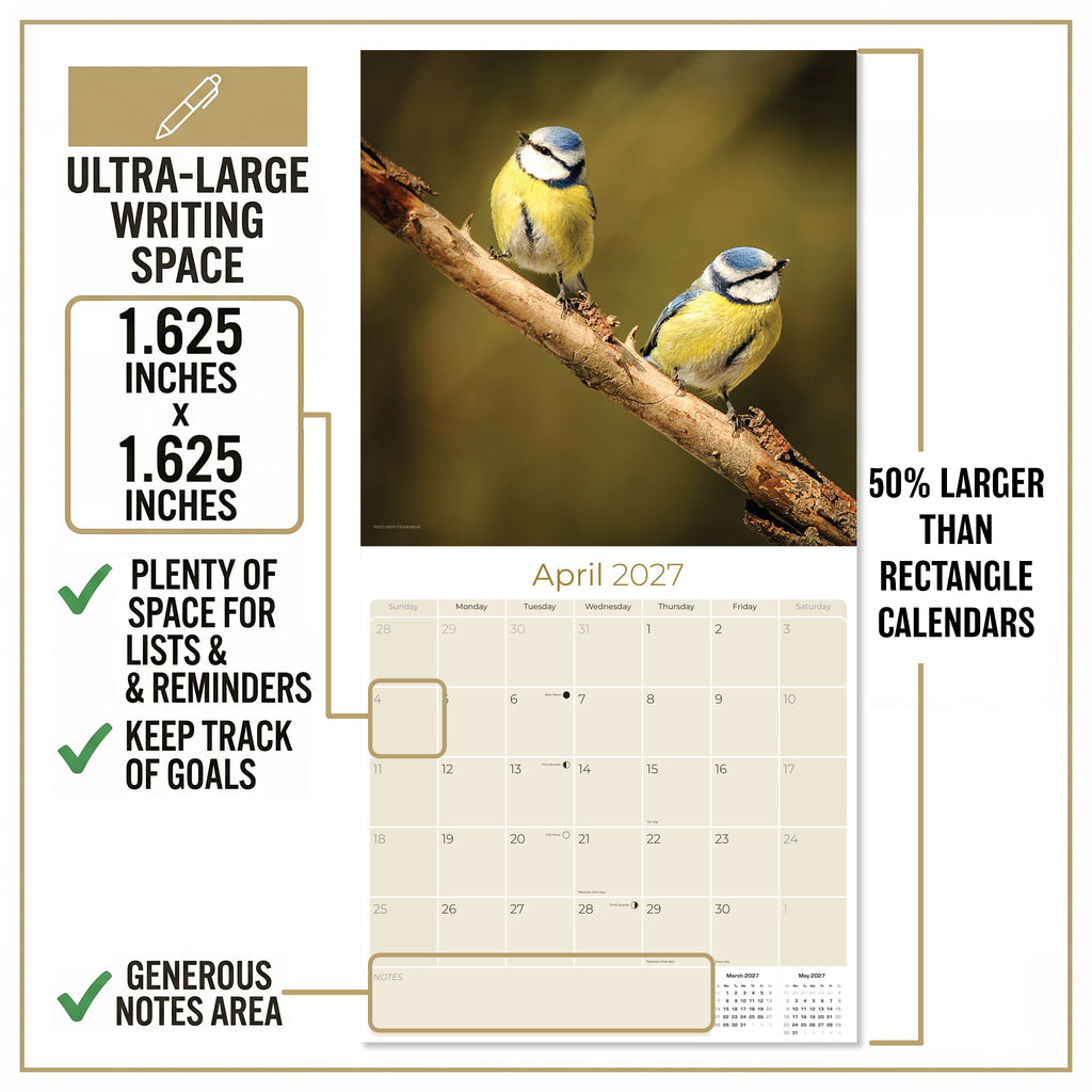 Garden Birds Wall Calendar 2027 - 12" x 12" Monthly Beautiful Songbirds & Colorful Backyard Wild Birds Calendar