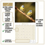 Garden Birds Wall Calendar 2027 - 12" x 12" Monthly Beautiful Songbirds & Colorful Backyard Wild Birds Calendar