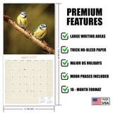 Garden Birds Wall Calendar 2027 - 12" x 12" Monthly Beautiful Songbirds & Colorful Backyard Wild Birds Calendar