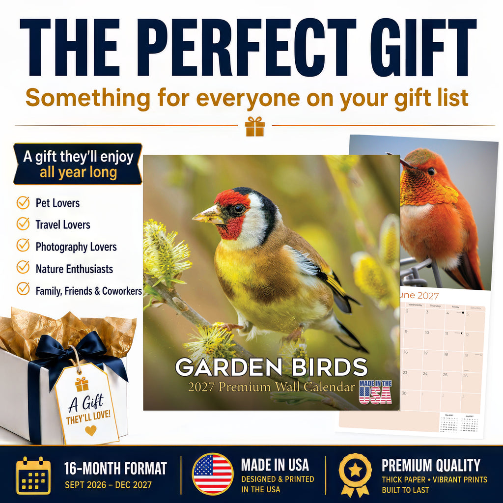 Garden Birds Wall Calendar 2027 - 12" x 12" Monthly Beautiful Songbirds & Colorful Backyard Wild Birds Calendar