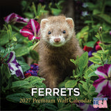 Ferrets Wall Calendar 2027 - 12" x 12" Monthly Playful & Mischievous Domestic Ferret Pet Calendar