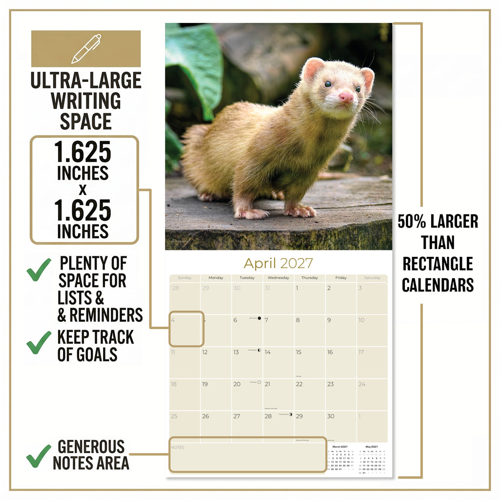Ferrets Wall Calendar 2027 - 12" x 12" Monthly Playful & Mischievous Domestic Ferret Pet Calendar