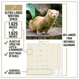 Ferrets Wall Calendar 2027 - 12" x 12" Monthly Playful & Mischievous Domestic Ferret Pet Calendar