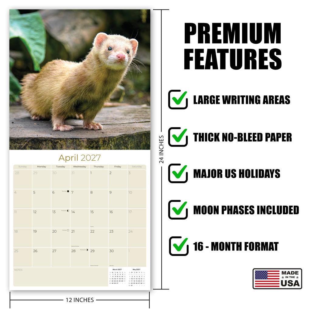 Ferrets Wall Calendar 2027 - 12" x 12" Monthly Playful & Mischievous Domestic Ferret Pet Calendar