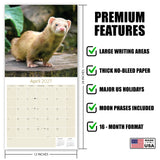 Ferrets Wall Calendar 2027 - 12" x 12" Monthly Playful & Mischievous Domestic Ferret Pet Calendar