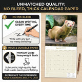 Ferrets Wall Calendar 2027 - 12" x 12" Monthly Playful & Mischievous Domestic Ferret Pet Calendar