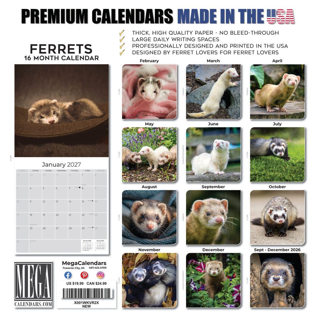 Ferrets Wall Calendar 2027 - 12" x 12" Monthly Playful & Mischievous Domestic Ferret Pet Calendar