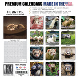 Ferrets Wall Calendar 2027 - 12" x 12" Monthly Playful & Mischievous Domestic Ferret Pet Calendar