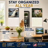 Ferrets Wall Calendar 2027 - 12" x 12" Monthly Playful & Mischievous Domestic Ferret Pet Calendar