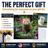 Ferrets Wall Calendar 2027 - 12" x 12" Monthly Playful & Mischievous Domestic Ferret Pet Calendar