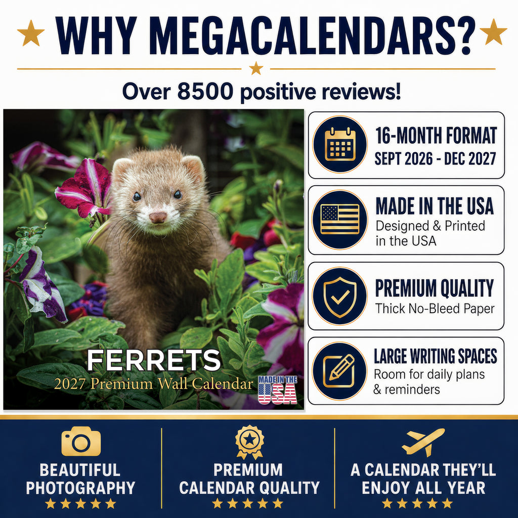 Ferrets Wall Calendar 2027 - 12" x 12" Monthly Playful & Mischievous Domestic Ferret Pet Calendar