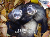 Ferrets Wall Calendar 2027 - 12" x 9" 14-Month Small Pet Calendar