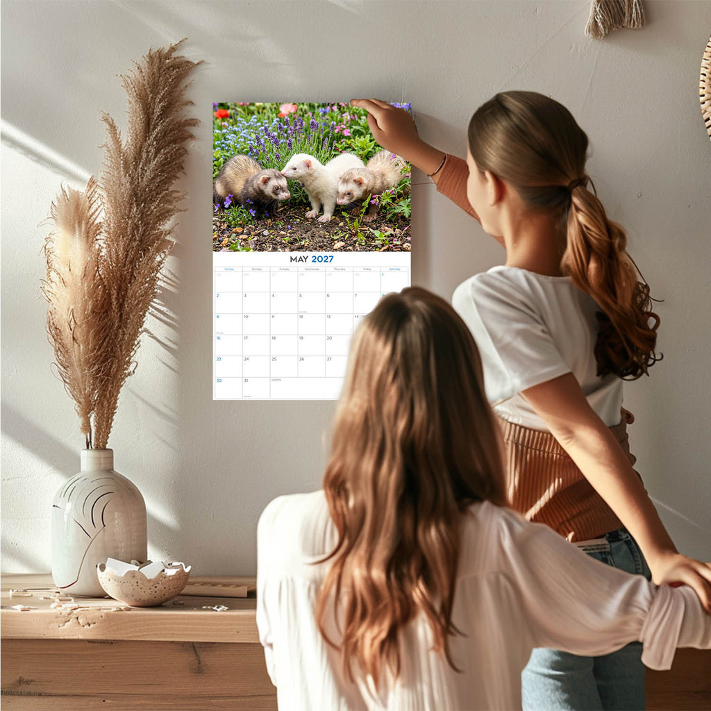 Ferrets Wall Calendar 2027 - 12" x 9" 14-Month Small Pet Calendar