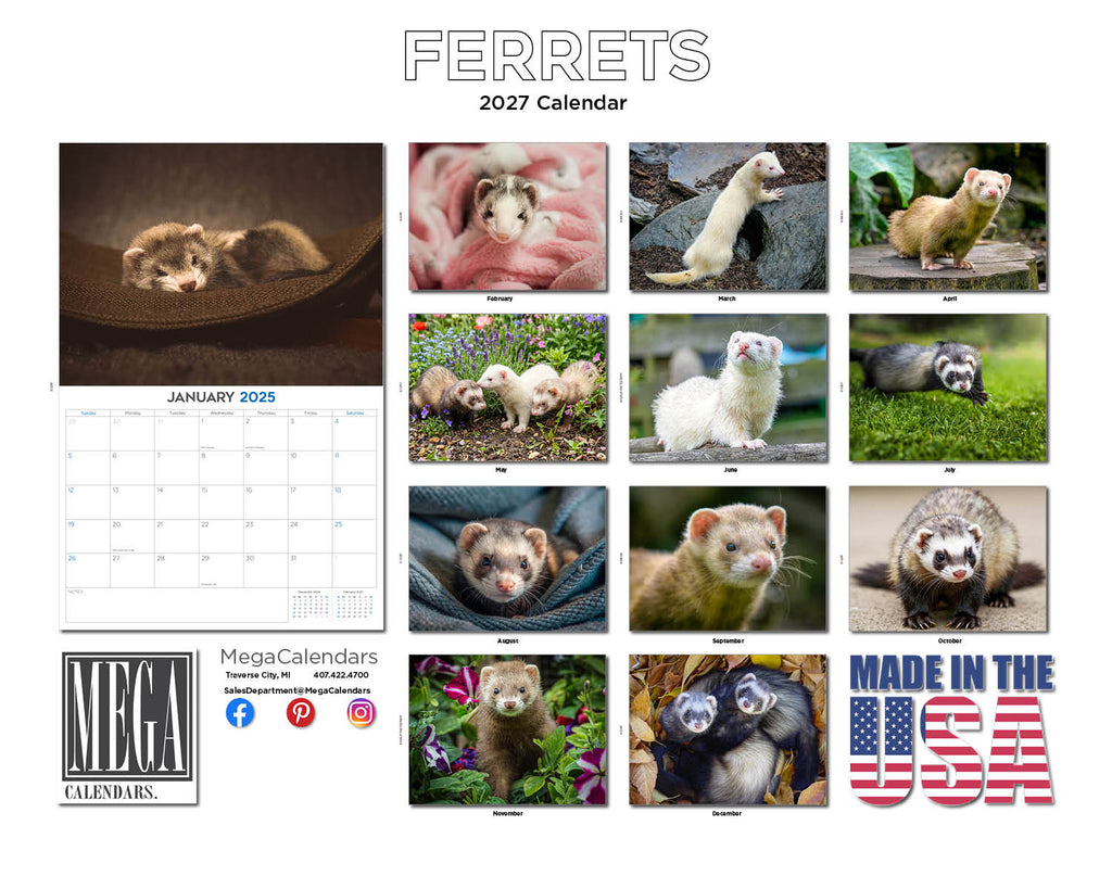 Ferrets Wall Calendar 2027 - 12" x 9" 14-Month Small Pet Calendar