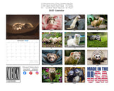Ferrets Wall Calendar 2027 - 12" x 9" 14-Month Small Pet Calendar