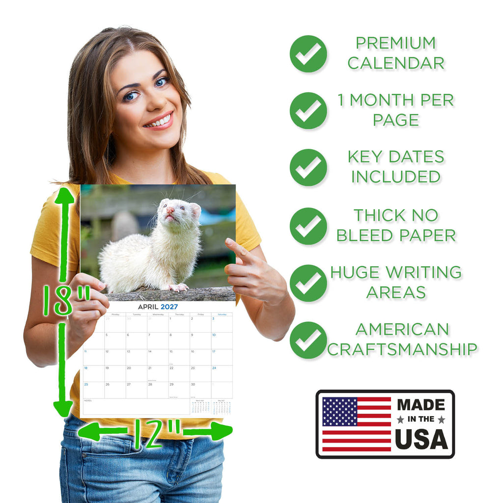 Ferrets Wall Calendar 2027 - 12" x 9" 14-Month Small Pet Calendar