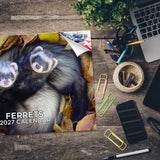 Ferrets Wall Calendar 2027 - 12" x 9" 14-Month Small Pet Calendar