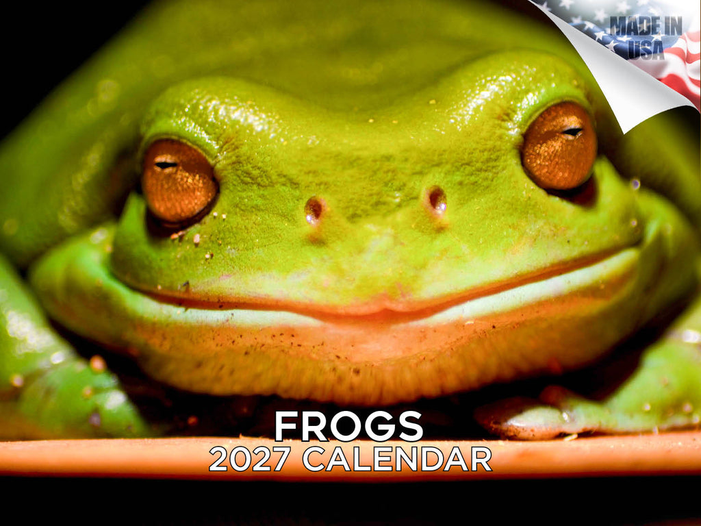 Frogs Wall Calendar 2027 - 12" x 9" 14-Month Amphibian Calendar