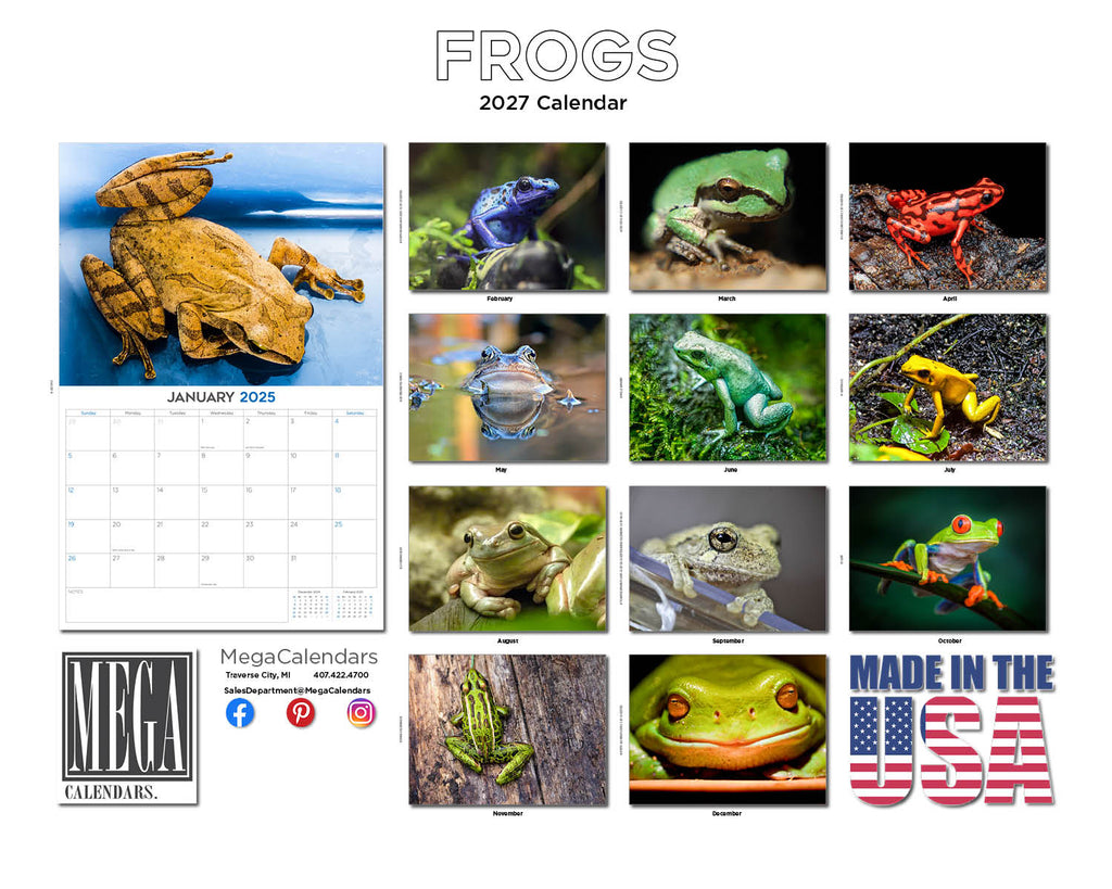 Frogs Wall Calendar 2027 - 12" x 9" 14-Month Amphibian Calendar