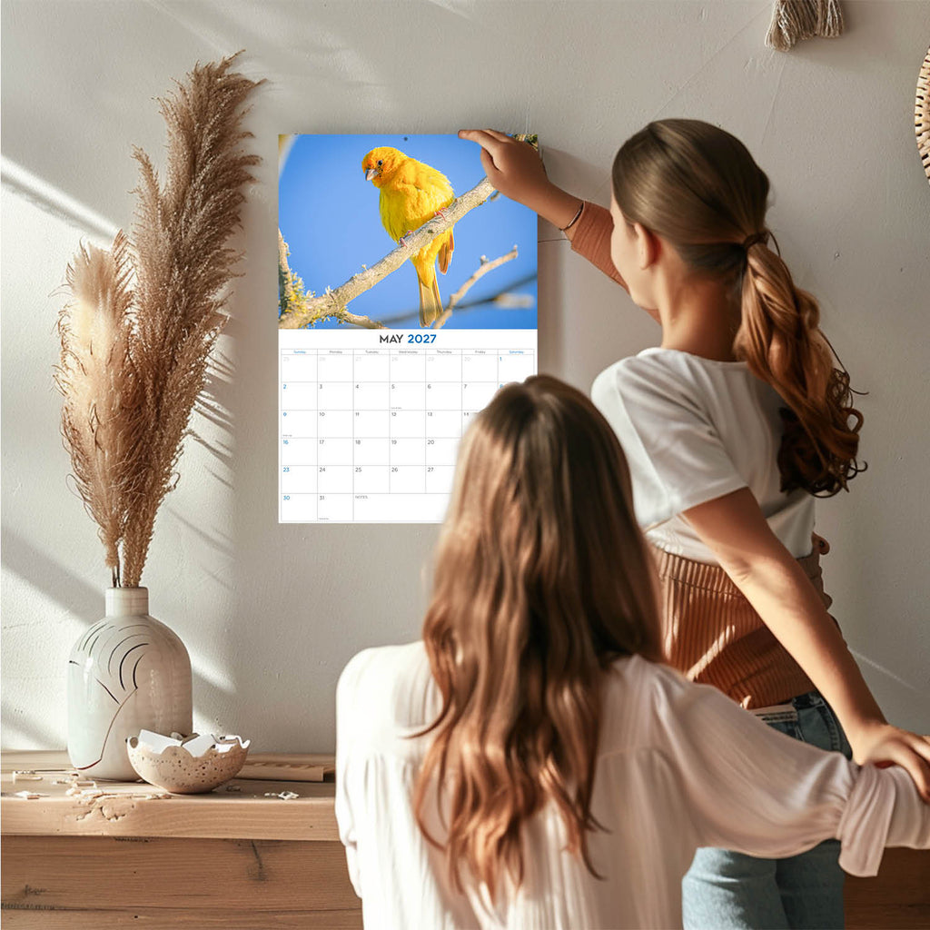 Garden Birds Wall Calendar 2027 - 12" x 9" 14-Month Backyard Songbird Calendar
