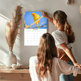 Garden Birds Wall Calendar 2027 - 12" x 9" 14-Month Backyard Songbird Calendar