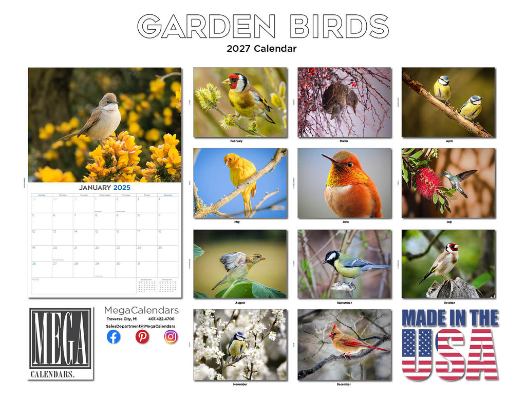 Garden Birds Wall Calendar 2027 - 12" x 9" 14-Month Backyard Songbird Calendar
