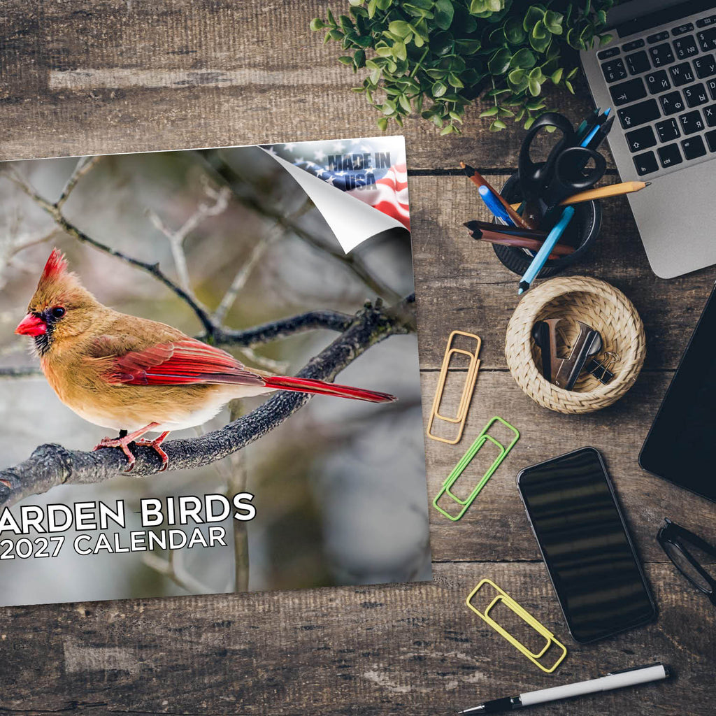 Garden Birds Wall Calendar 2027 - 12" x 9" 14-Month Backyard Songbird Calendar