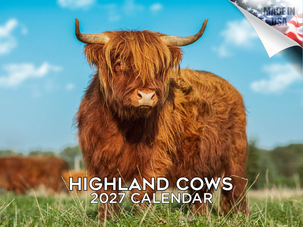 Highland Cows Wall Calendar 2027 - 12" x 9" 14-Month Scottish Cattle Calendar