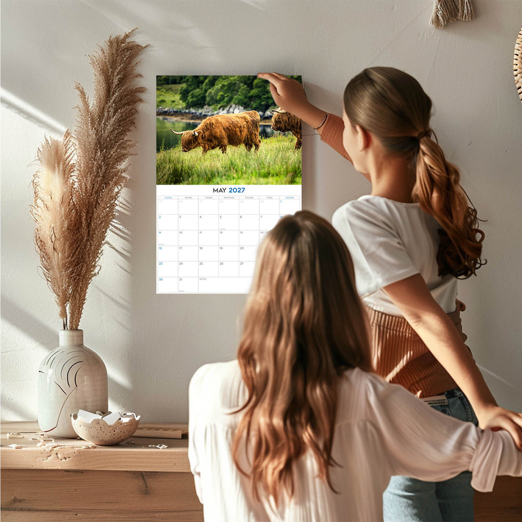 Highland Cows Wall Calendar 2027 - 12" x 9" 14-Month Scottish Cattle Calendar