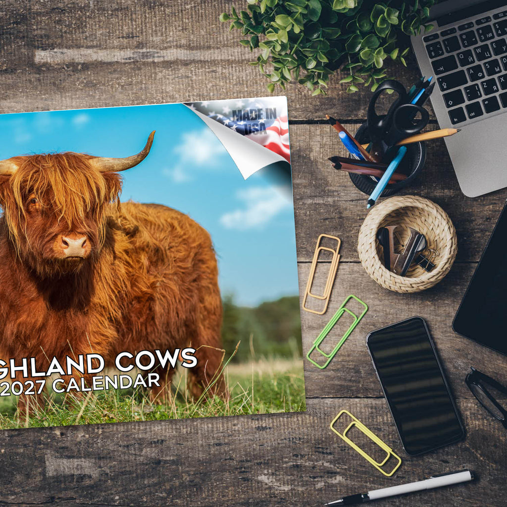 Highland Cows Wall Calendar 2027 - 12" x 9" 14-Month Scottish Cattle Calendar