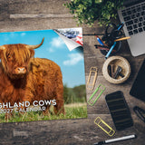 Highland Cows Wall Calendar 2027 - 12" x 9" 14-Month Scottish Cattle Calendar