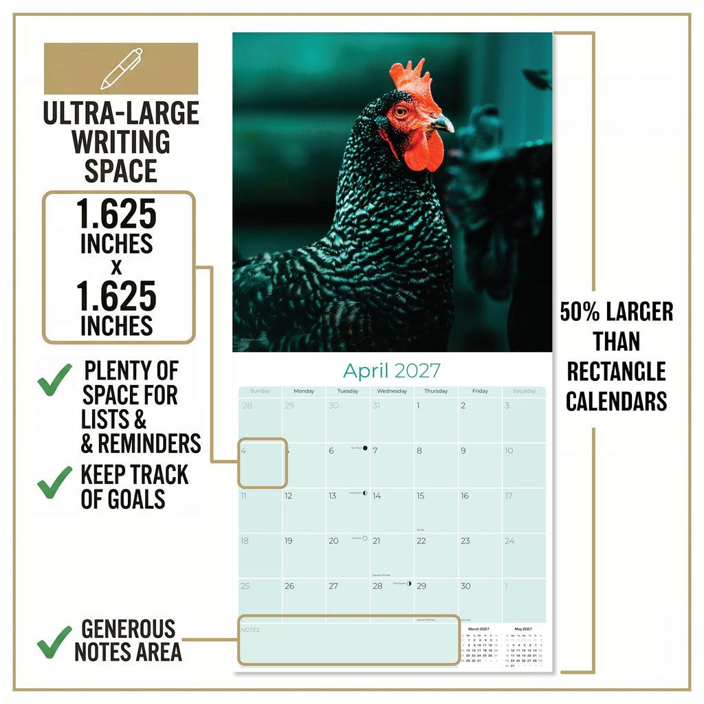 Chickens Wall Calendar 2027 - 12" x 12" Monthly Colorful Plucky Backyard Poultry Farm Calendar