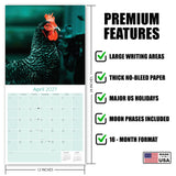 Chickens Wall Calendar 2027 - 12" x 12" Monthly Colorful Plucky Backyard Poultry Farm Calendar