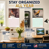 Chickens Wall Calendar 2027 - 12" x 12" Monthly Colorful Plucky Backyard Poultry Farm Calendar