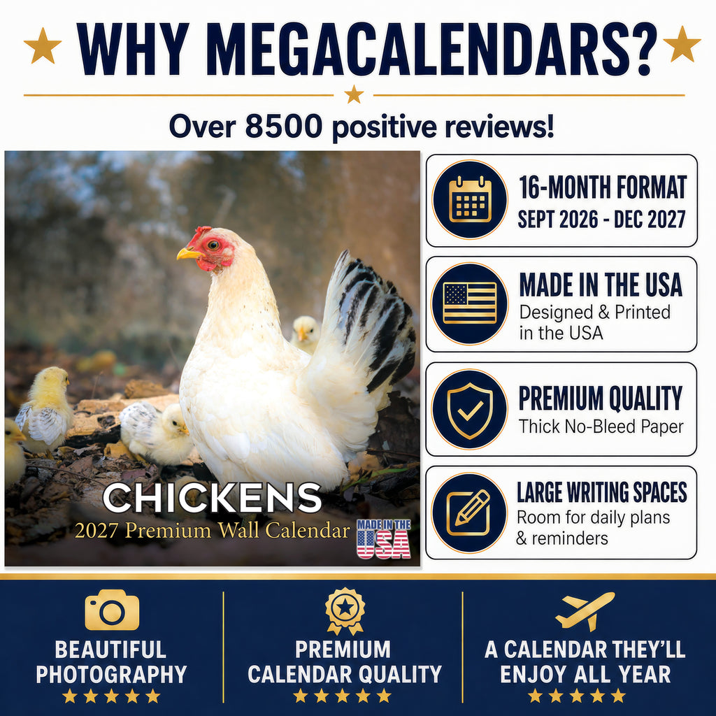 Chickens Wall Calendar 2027 - 12" x 12" Monthly Colorful Plucky Backyard Poultry Farm Calendar