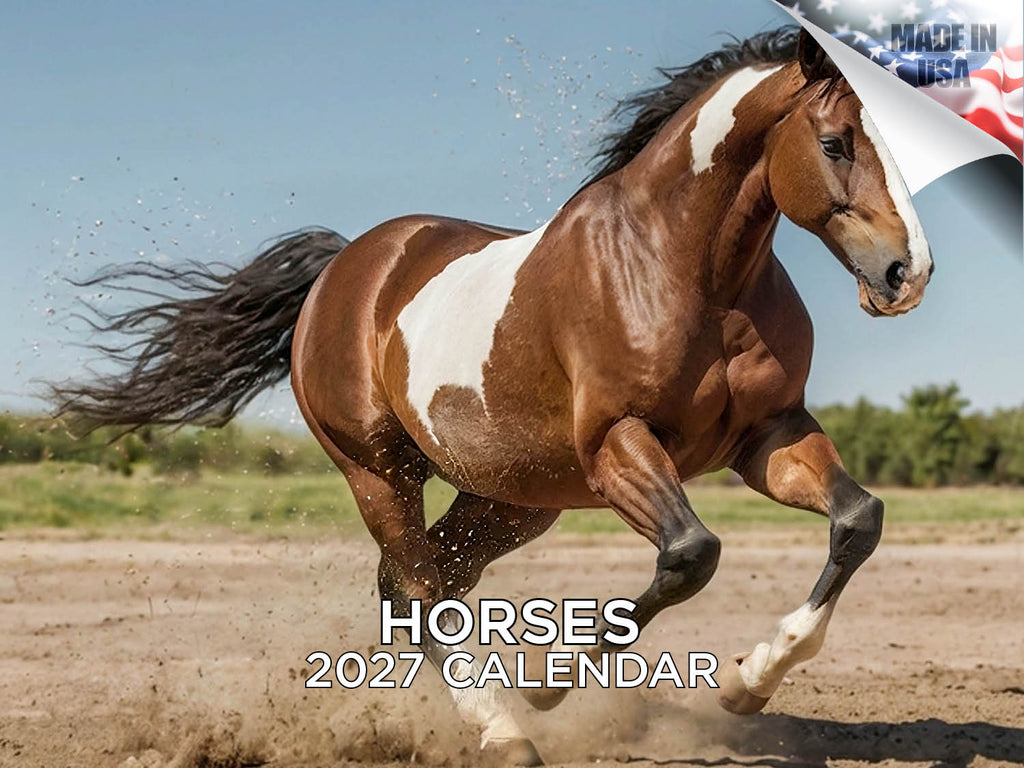 Horses Wall Calendar 2027 - 12" x 9" 14-Month Mixed Horse Breed Calendar