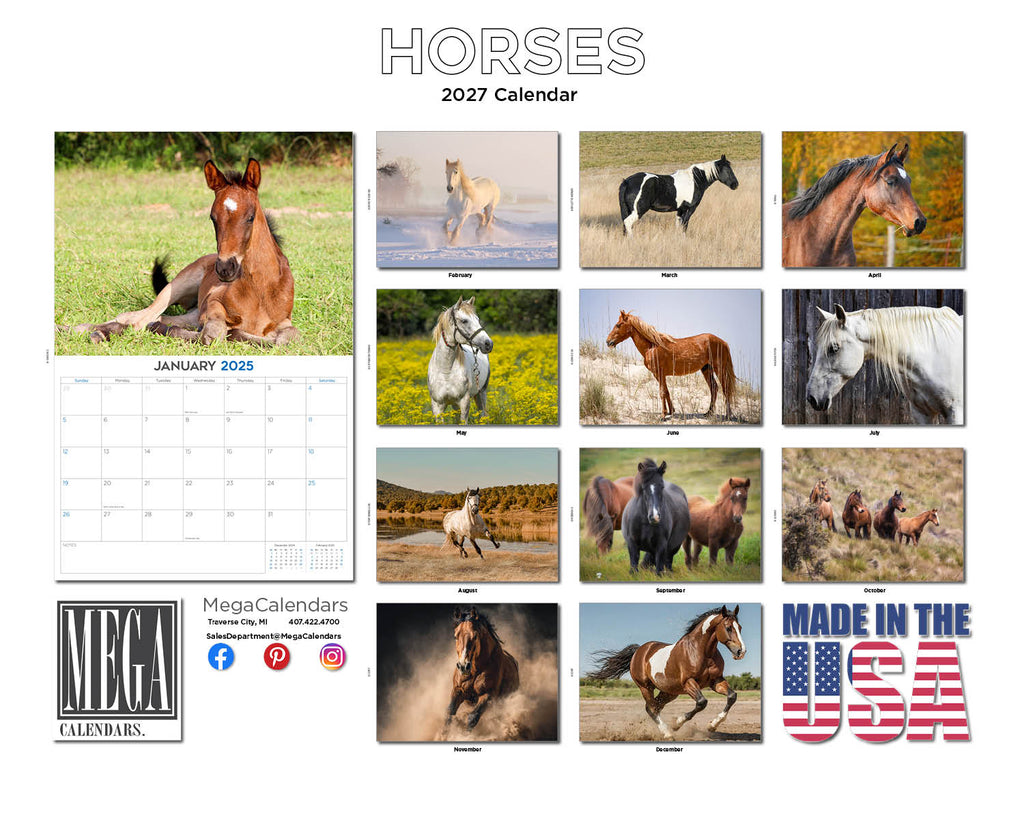 Horses Wall Calendar 2027 - 12" x 9" 14-Month Mixed Horse Breed Calendar