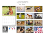 Horses Wall Calendar 2027 - 12" x 9" 14-Month Mixed Horse Breed Calendar