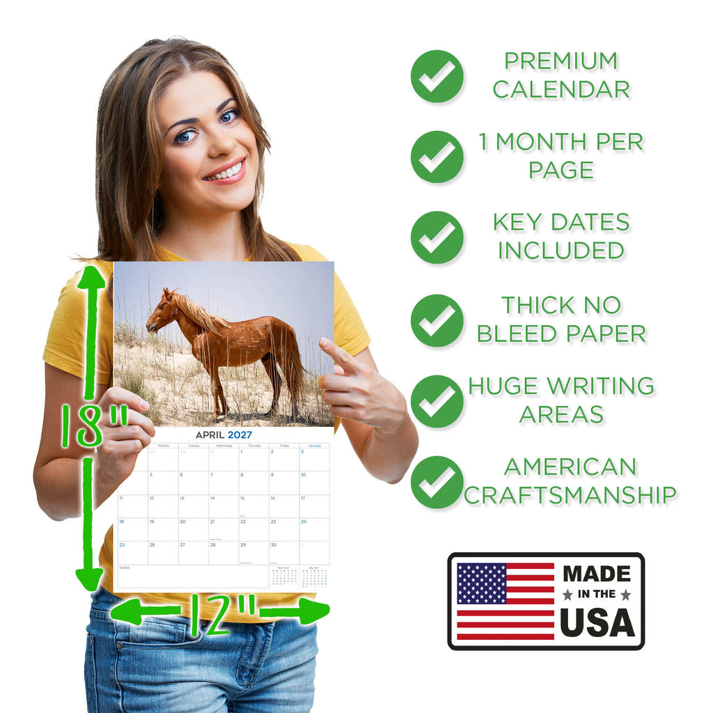 Horses Wall Calendar 2027 - 12" x 9" 14-Month Mixed Horse Breed Calendar