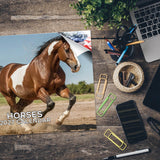 Horses Wall Calendar 2027 - 12" x 9" 14-Month Mixed Horse Breed Calendar