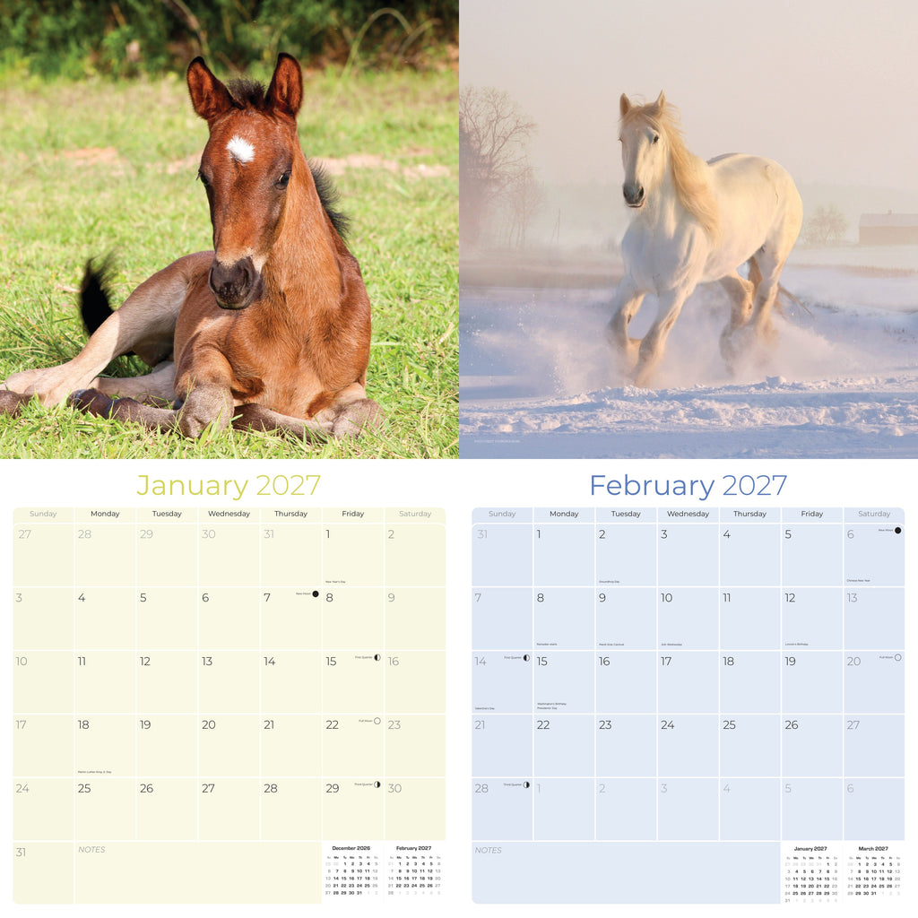 Horses Wall Calendar 2027 - 12" x 12" Monthly Majestic Equine & Galloping Stallion Fine Art Calendar