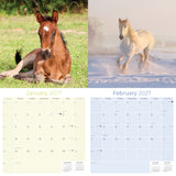 Horses Wall Calendar 2027 - 12" x 12" Monthly Majestic Equine & Galloping Stallion Fine Art Calendar