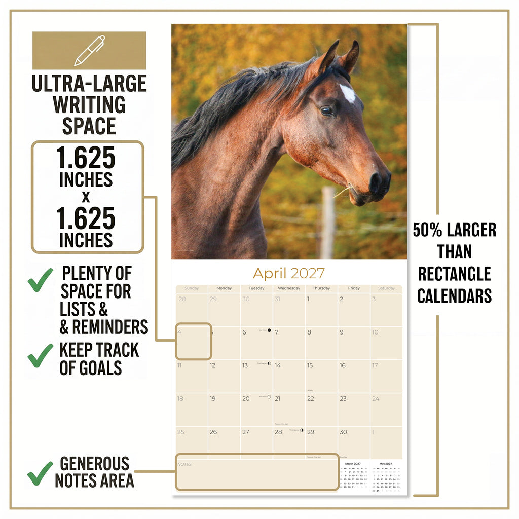 Horses Wall Calendar 2027 - 12" x 12" Monthly Majestic Equine & Galloping Stallion Fine Art Calendar