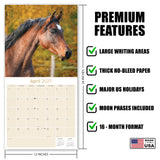 Horses Wall Calendar 2027 - 12" x 12" Monthly Majestic Equine & Galloping Stallion Fine Art Calendar