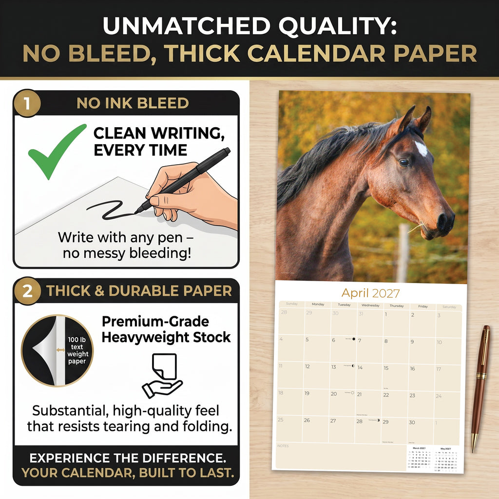 Horses Wall Calendar 2027 - 12" x 12" Monthly Majestic Equine & Galloping Stallion Fine Art Calendar