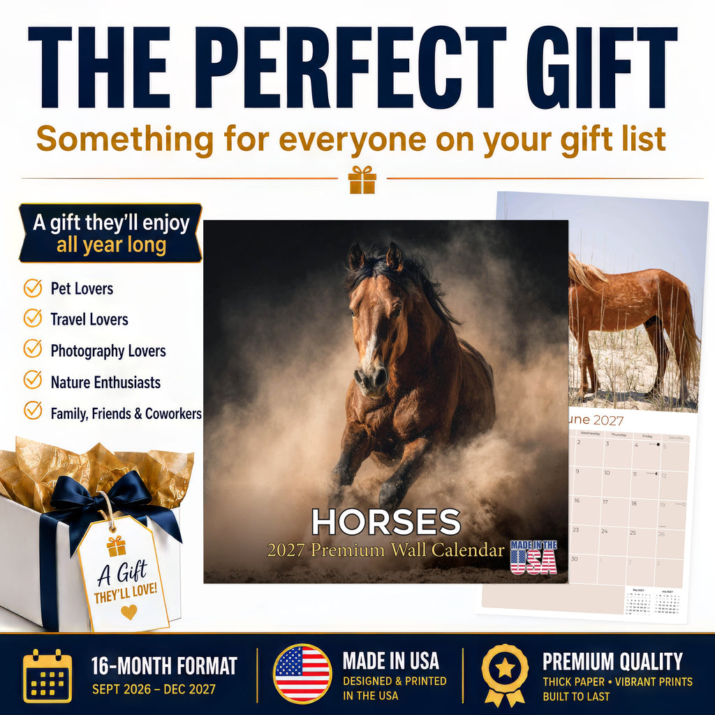 Horses Wall Calendar 2027 - 12" x 12" Monthly Majestic Equine & Galloping Stallion Fine Art Calendar