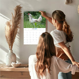 Chickens Wall Calendar 2027 - 12" x 9" 14-Month Backyard Poultry Calendar