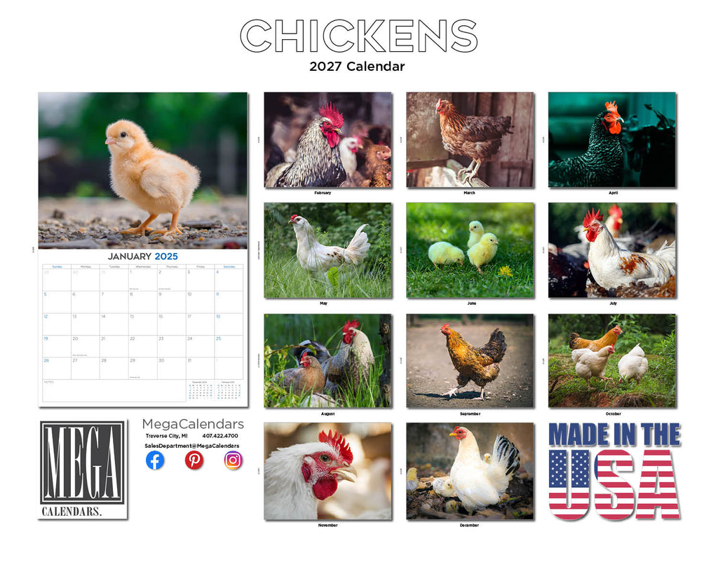 Chickens Wall Calendar 2027 - 12" x 9" 14-Month Backyard Poultry Calendar