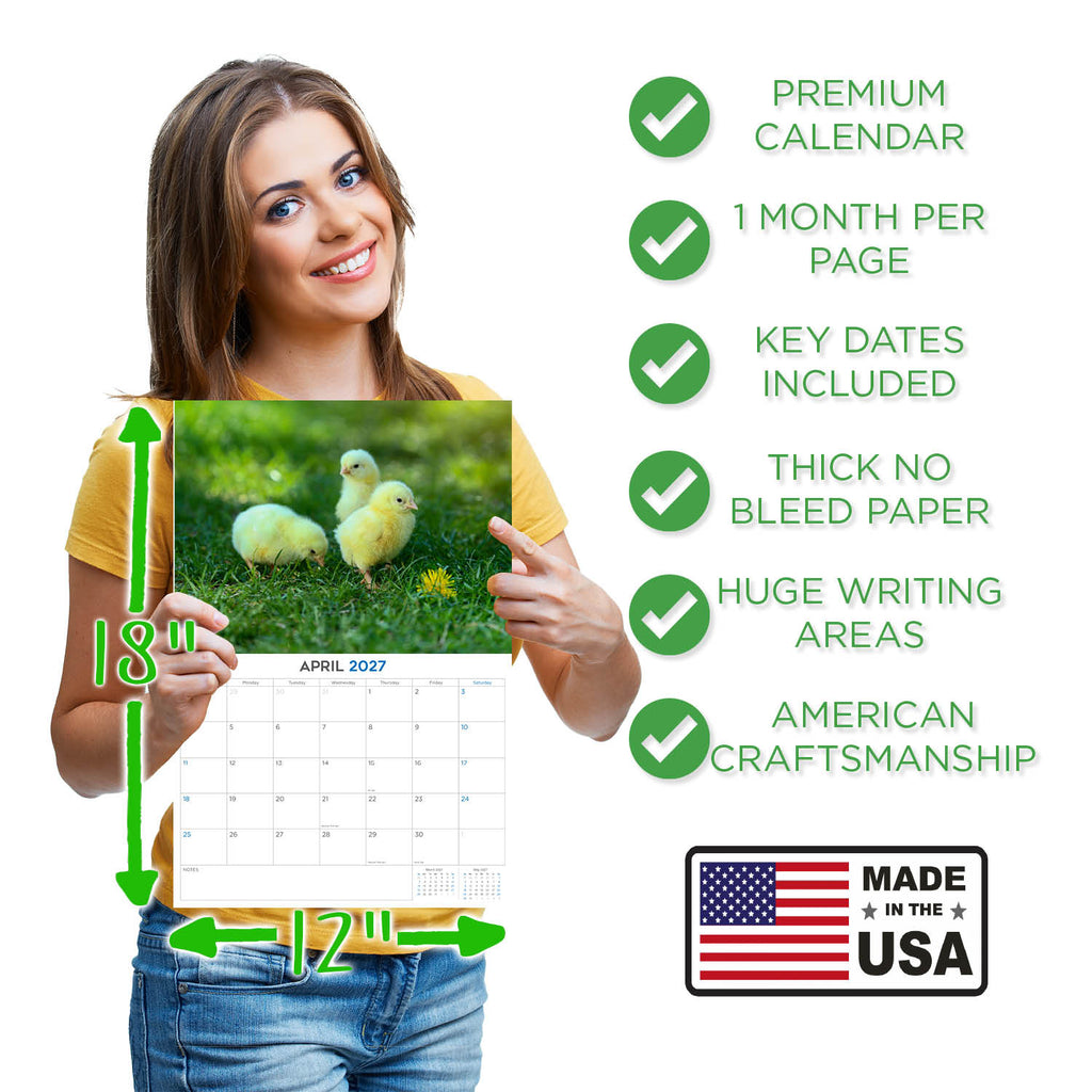 Chickens Wall Calendar 2027 - 12" x 9" 14-Month Backyard Poultry Calendar