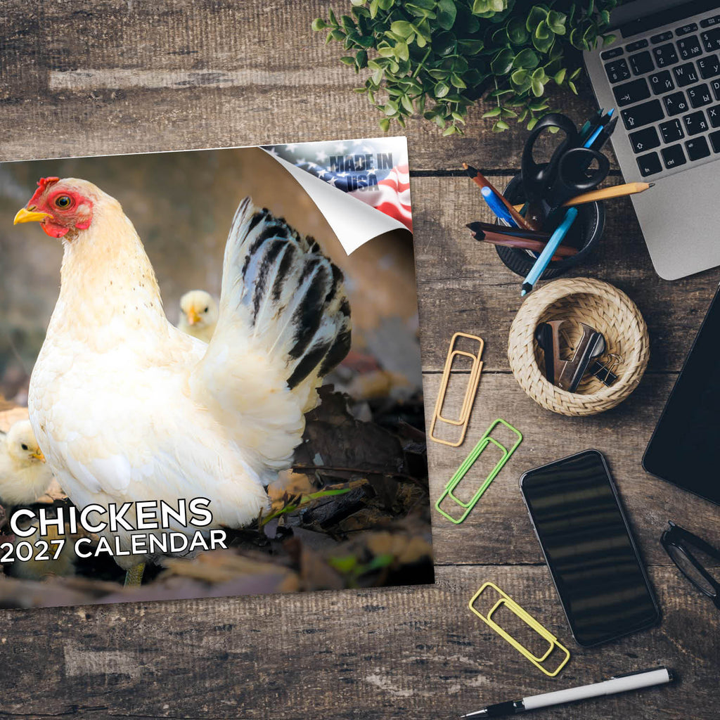 Chickens Wall Calendar 2027 - 12" x 9" 14-Month Backyard Poultry Calendar